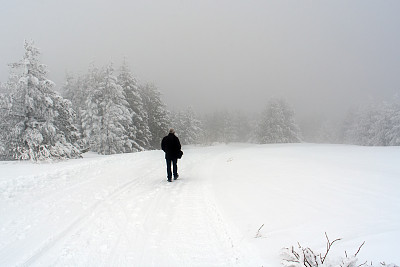 在冬日的乡间小路上图片下载
