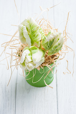 白色破旧的桌子上，绿色的郁金香图片下载