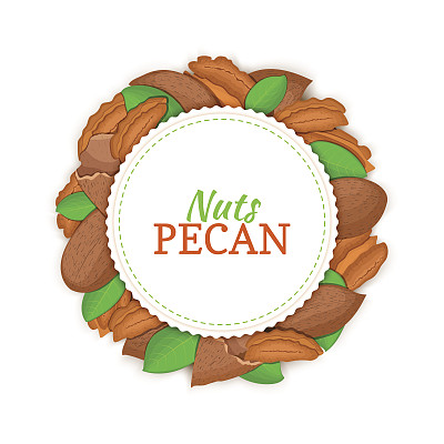 圆形的白色框架由山核桃组成。图片下载