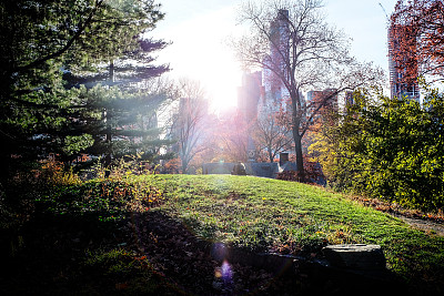 一对在山上相爱的夫妇-纽约图片下载