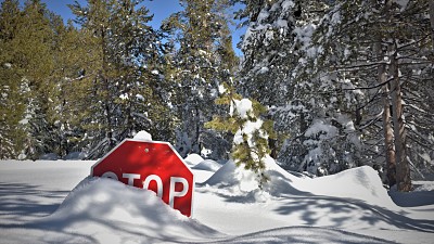 内华达(又名雪)图片下载