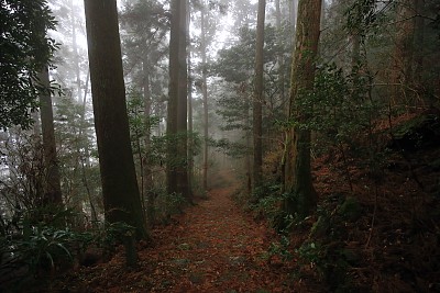 日本和歌山县熊野琴道朝圣之路，世界遗产图片下载