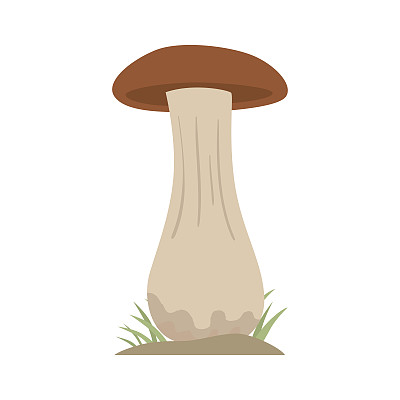 可食用的新鲜白菇自然食品素食健康的秋天和棕色真菌有机蔬菜原料矢量插图素材图片