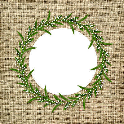 圆框与铃兰的山谷花图片下载