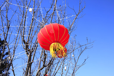 中国的灯笼素材图片