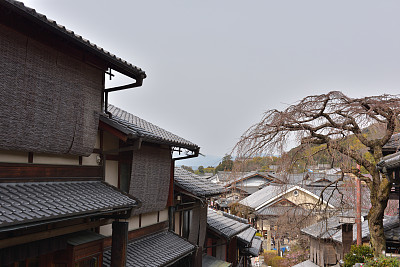 日本京都东山区图片下载