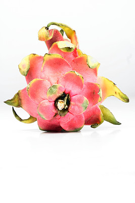 龙的水果图片下载