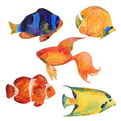 水彩热带鱼素材图片
