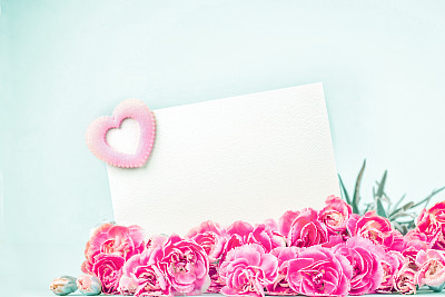 美丽盛开的康乃馨花与空白的白色卡片图片下载