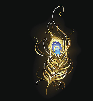 金孔雀羽毛图片下载