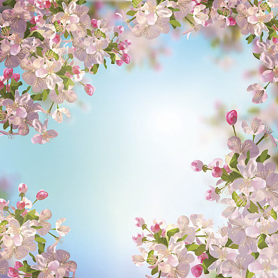 花卉矢量图素材ID：167408452