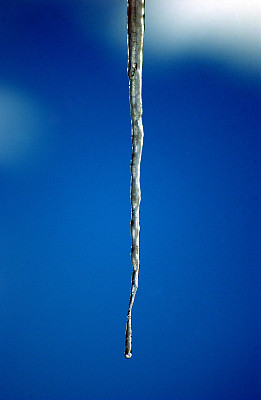 美丽的冰柱闪闪发光图片下载