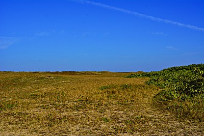 Itapocu景观图片下载