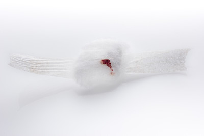 在白色的背景上关闭棉花绷带。图片下载