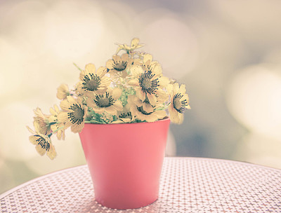 黄色的布花图片下载
