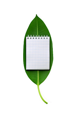 绿色的叶子，上面有打开的笔记本，平放，模型。图片下载