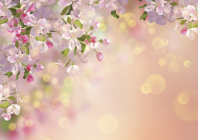 花卉矢量图素材ID：167439736