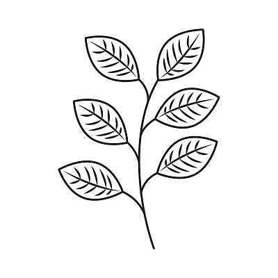 装饰性叶子植物独立图标图片下载