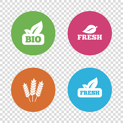 天然新鲜的生物食品图标。图片下载