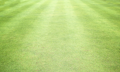 高尔夫球场草坪图片下载