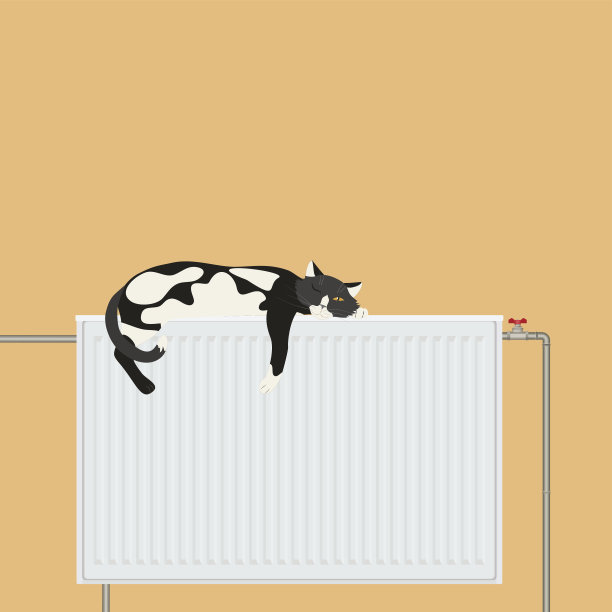 可爱的猫放松睡在电池平台图片下载