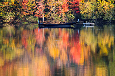 水彩树叶图片下载