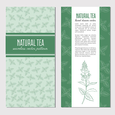 矢量卡片，横幅与手绘薄荷枝，叶子和花孤立在白色，辛辣的草药，Doodle烹饪配料，矢量插图，化妆品，茶和其他设计包图片下载