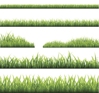草的边界图片下载