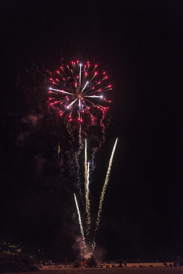 鞭炮花图片素材ID：167472172