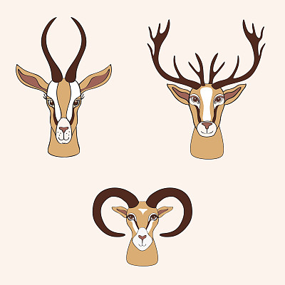 装饰瞪羚、鹿、公羊图形手绘矢量卡通图片下载
