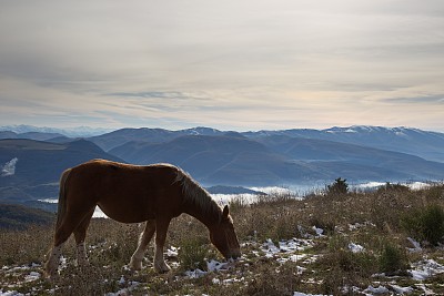马在山图片下载