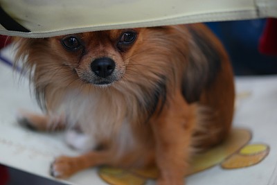 这就是我的坐姿图片下载