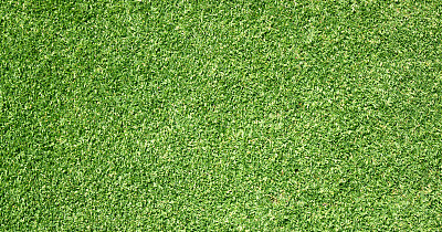 绿草的背景图片下载