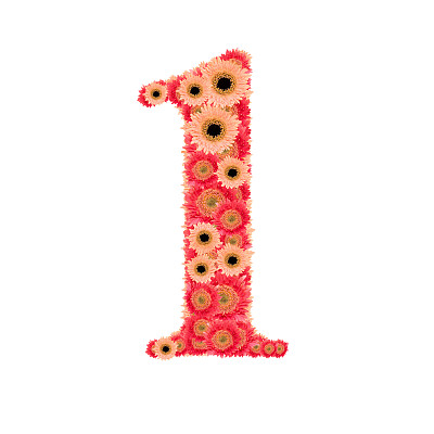 这篇课文是用花排列的图片下载