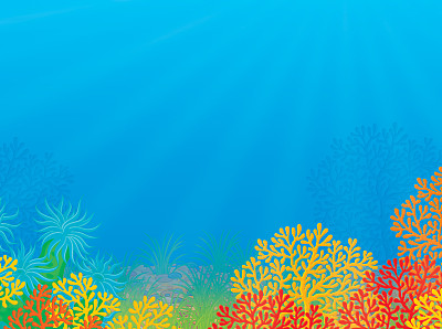 热带珊瑚礁图片下载