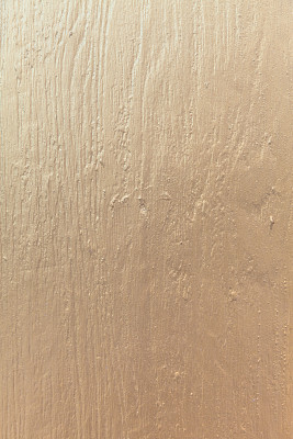 黄金木图片下载