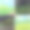 森林矢量图素材ID：167498182