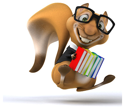 有趣的松鼠图片下载