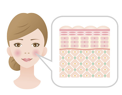 健康肌肤的女性图片下载