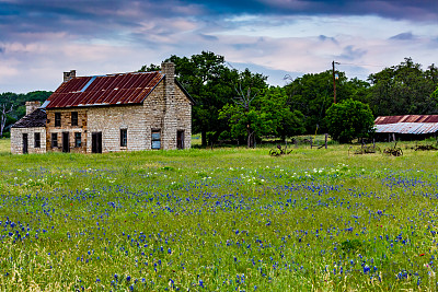 老废弃的德州宅地农舍与蓝矢车菊和其他德州野花图片下载