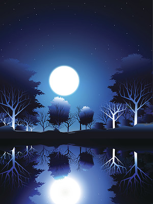 夜晚和月亮在湖边的树林素材图片