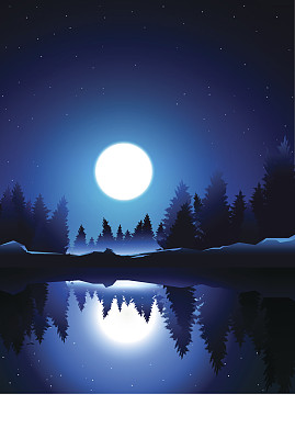 在夜晚和月亮湖附近的松木素材图片