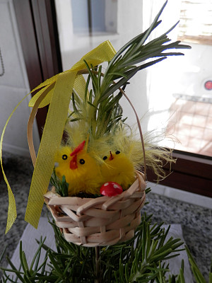 复活节小鸡装饰图片下载