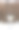 丹顶鹤照片素材ID：167521714