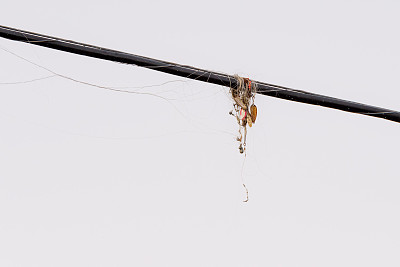 渔具打结图片下载