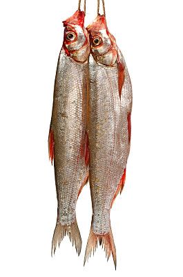 白底上的上嘴钩图片下载