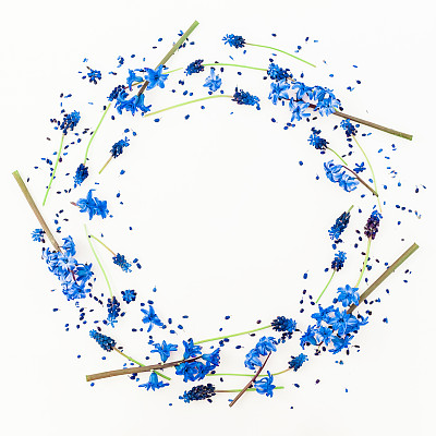 框架的蓝色麝香和风信子花在白色的背景。平躺，俯视图。图片下载