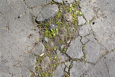 沥青碎裂，人行道被草损坏图片下载