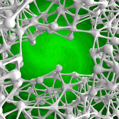 神经细胞的网络图片下载