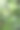 茂密的丛林图片下载